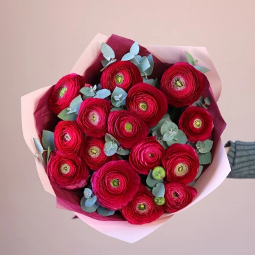 Малиновые ранункулюсы