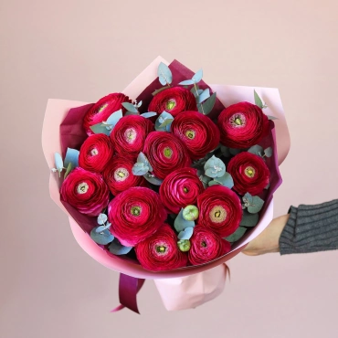 Малиновые ранункулюсы