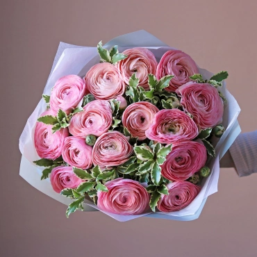 Нежно-розовые ранункулюсы