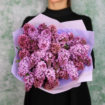 Ароматная сирень (сезонная)