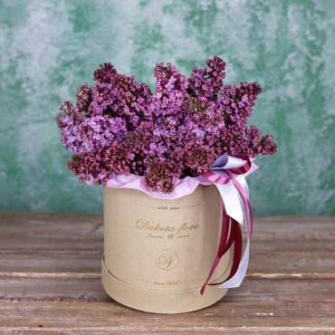 Сирени в коробке (сезонная)