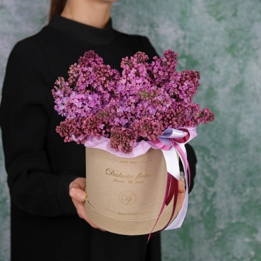 Сирени в коробке (сезонная)