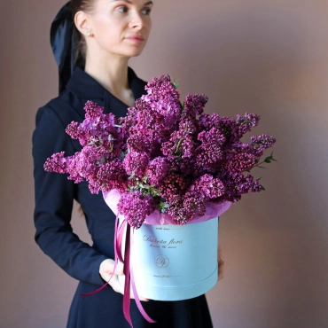 Сезонная сирени в коробке