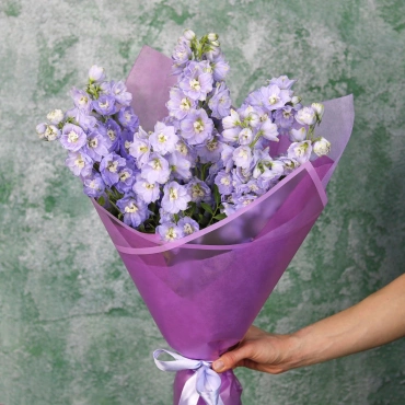 Фиолетовый дельфиниум