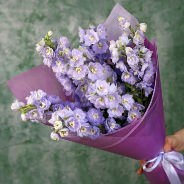 Фиолетовый дельфиниум