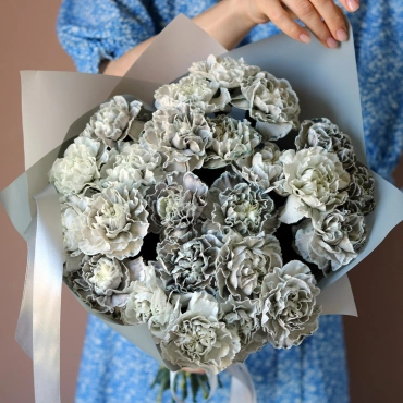 Серые гвоздики