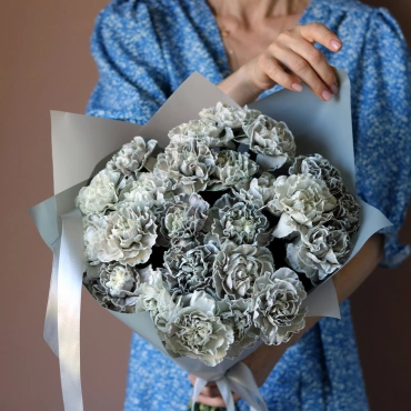 Серые гвоздики