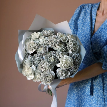 Серые гвоздики