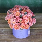 19 кустовых роз