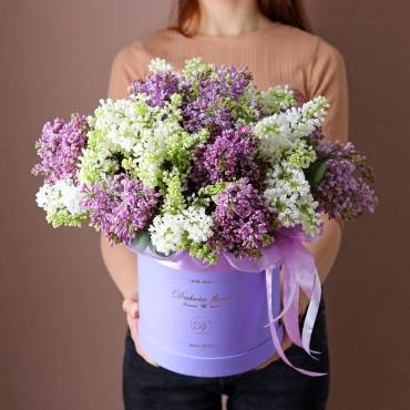 Белая и фиолетовая Сирень в коробке
