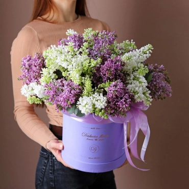 Белая и фиолетовая Сирень в коробке