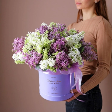 Белая и фиолетовая Сирень в коробке