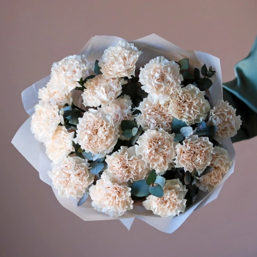 Кремовые гвоздики букет