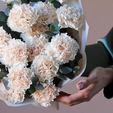 Кремовые гвоздики букет