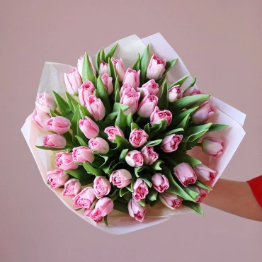 Голландские махровые тюльпаны