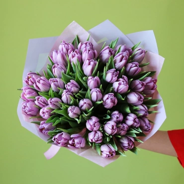 Голландские махровые тюльпаны