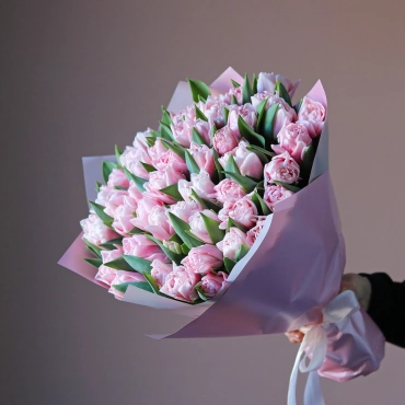 Нежно-розовые махровые тюльпаны