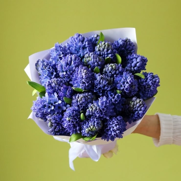 Синие гиацинты букет