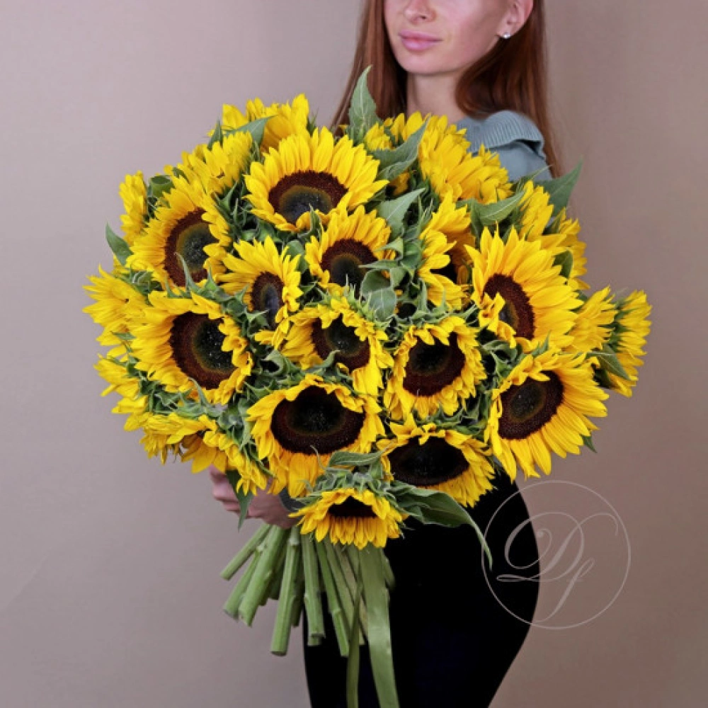 29 подсолнухов