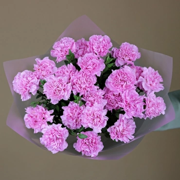 Розовые гвоздики букет