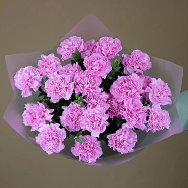 Розовые гвоздики букет