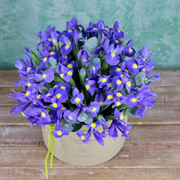 Ирисы в коробке