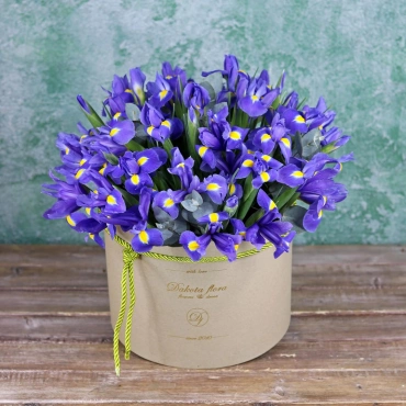 Ирисы в коробке