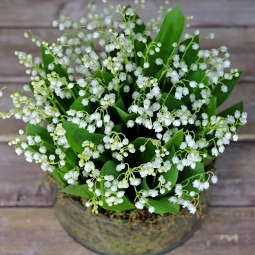 Ландыши в вазе