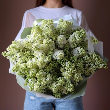 Букет белой сирени (сезонная)