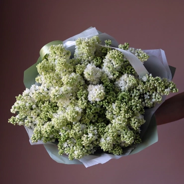 Букет белой сирени (сезонная)