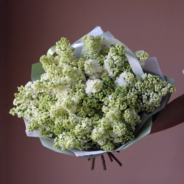 Букет белой сирени (сезонная)