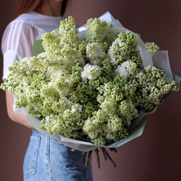Букет белой сирени (сезонная)