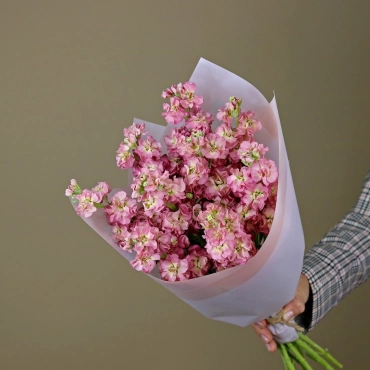 Насыщенно-розовая маттиола