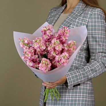 Насыщенно-розовая маттиола