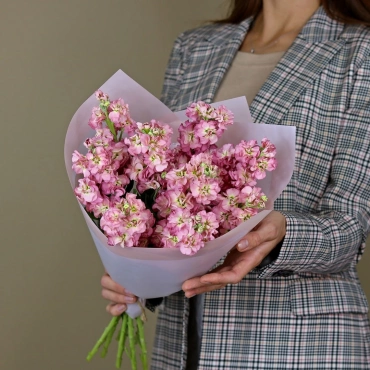 Насыщенно-розовая маттиола