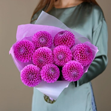 Малиновые георгины букет