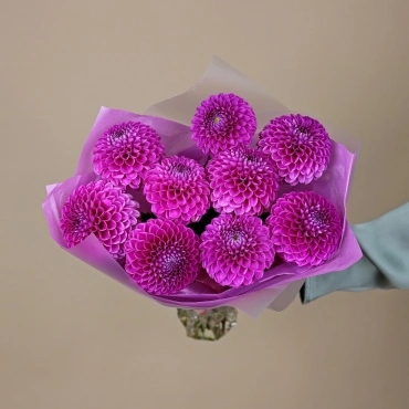 Малиновые георгины букет