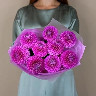 Малиновые георгины букет