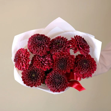 Бордовые георгины букет