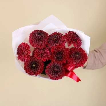 Бордовые георгины букет