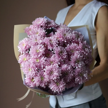 Фиолетовые хризантемы