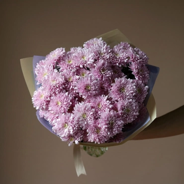 Фиолетовые хризантемы