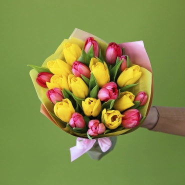 Разноцветные тюльпаны