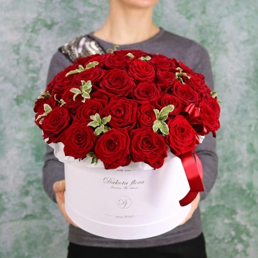 Красные розы в белой коробке с питоспорумом