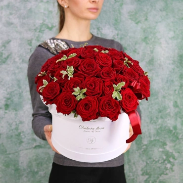 Красные розы в белой коробке с питоспорумом