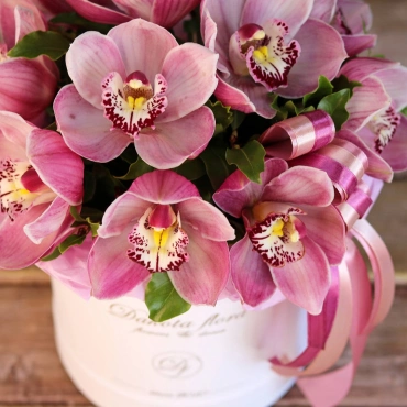 Орхидеи в белой коробке