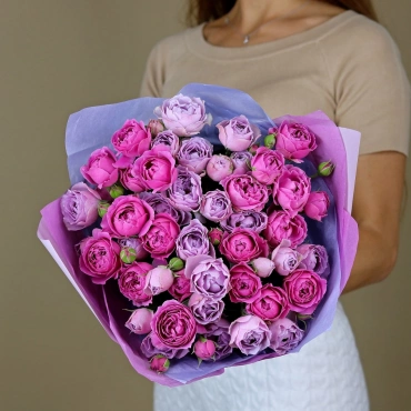 Мисти Баблс и Сильвер Баблс