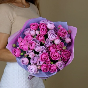 Мисти Баблс и Сильвер Баблс