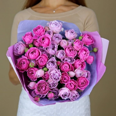 Мисти Баблс и Сильвер Баблс