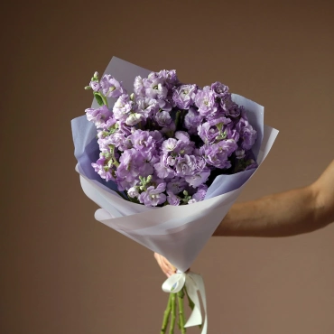 Букет из лавандовой кустовой маттиолы